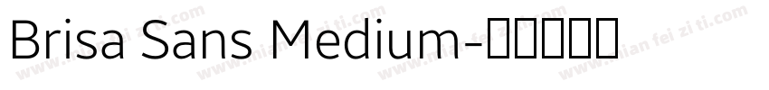 Brisa Sans Medium字体转换